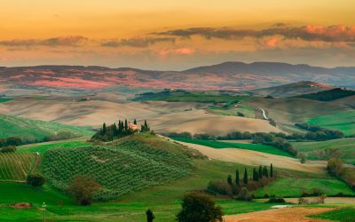Siena, al via la terza assegnazione dei buoni spesa